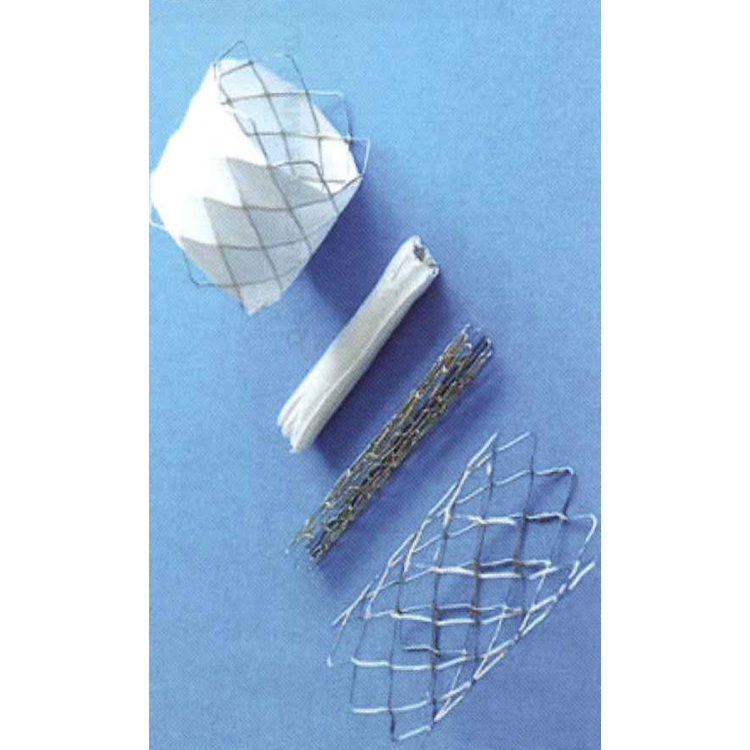 CP STENT 