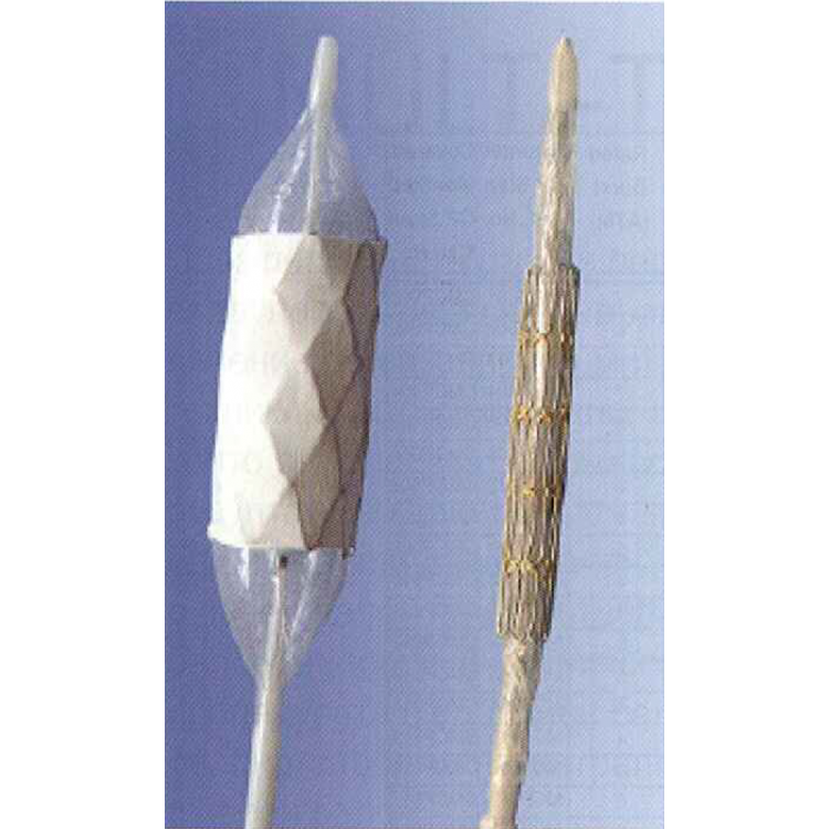 MOUNTED CP STENT 
