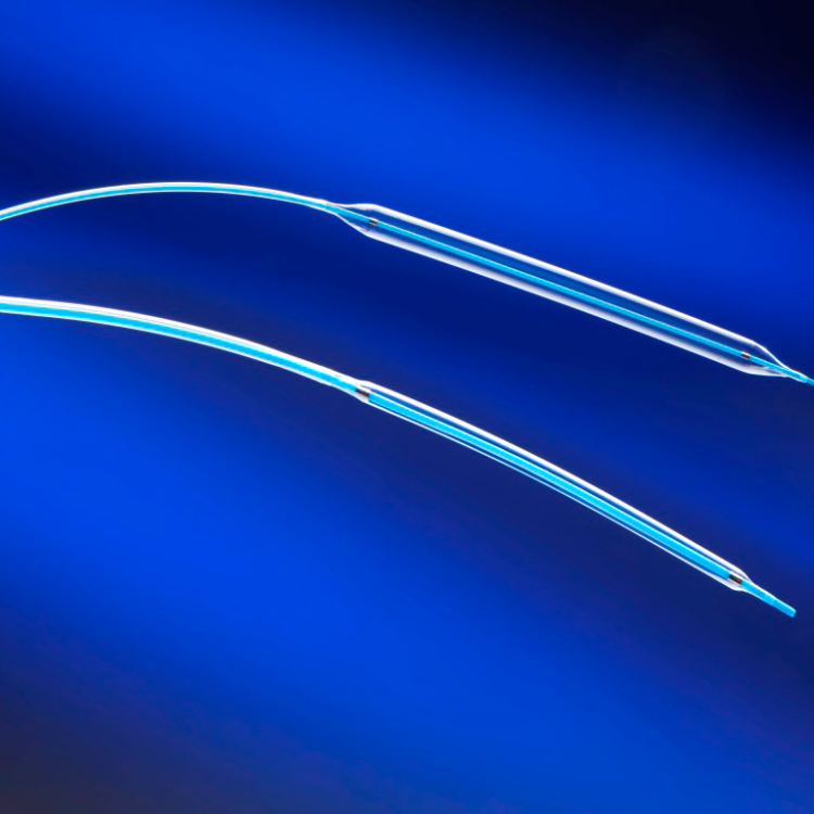 Euca VI - PTCA Balloon Catheter