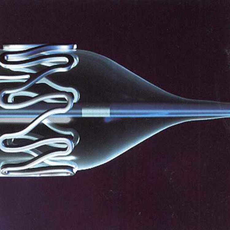 CC FLex Cobalt Chromium - Coronary BMS Stent System
