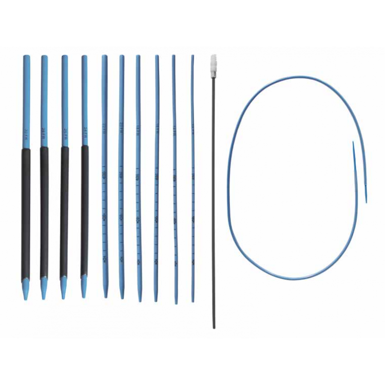 Amplatz Renal Dilation Set + Introducer Catheter + 2 Sheath